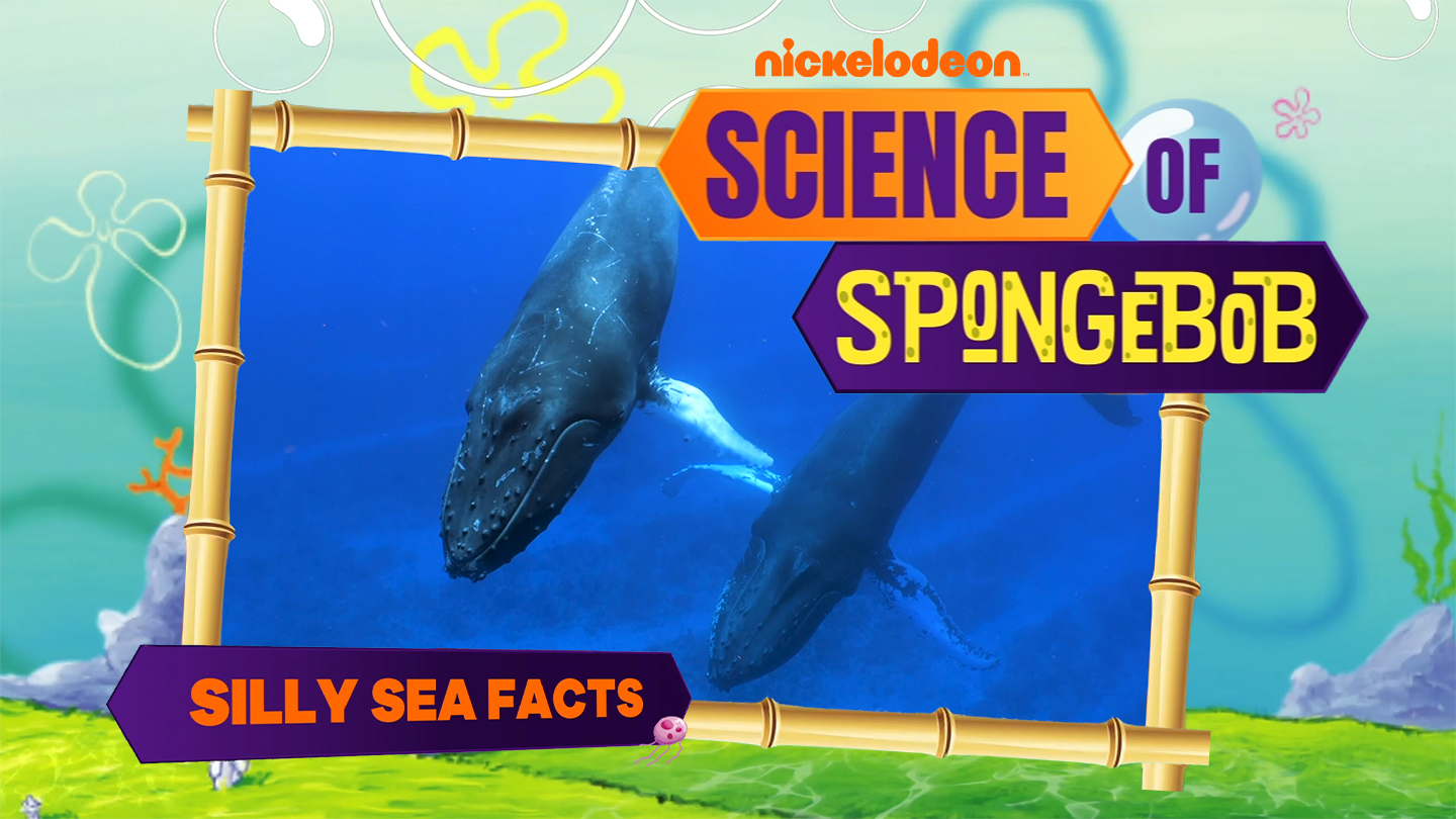 search img